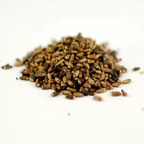 Liver Health & Detox