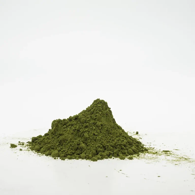 organic-chlorella-powder-green
