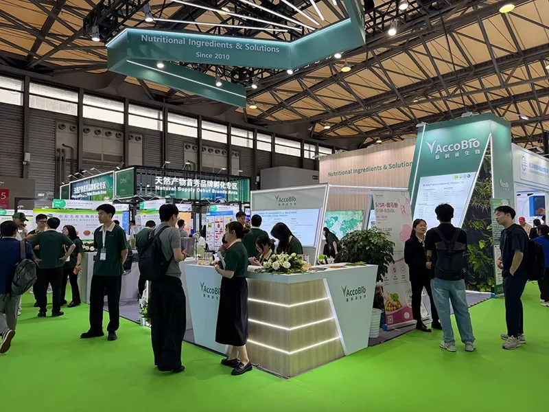 accobio exhibition booth sourcing team 1