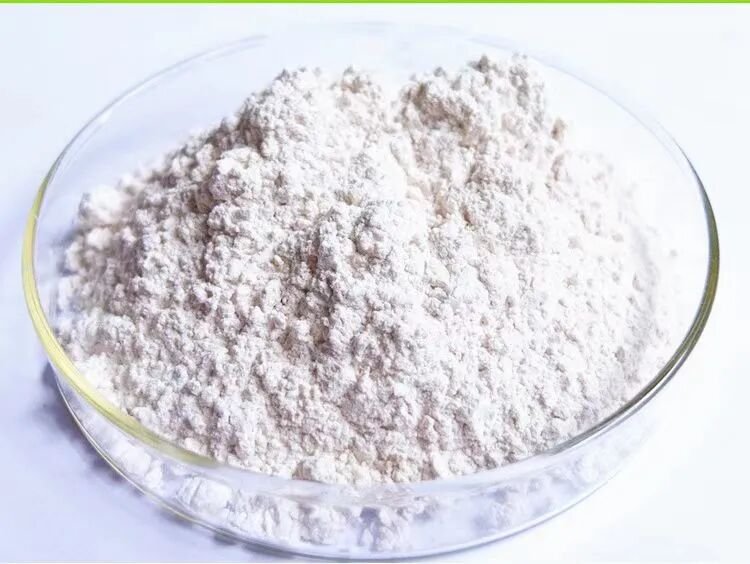 accobio-sialic-acid-bacillus-01