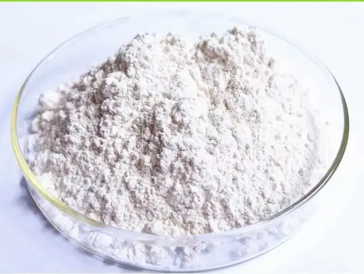 accobio-sialic-acid-bacillus-01