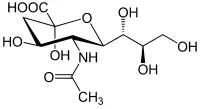 accobio-sialic-acid-bacillus-03