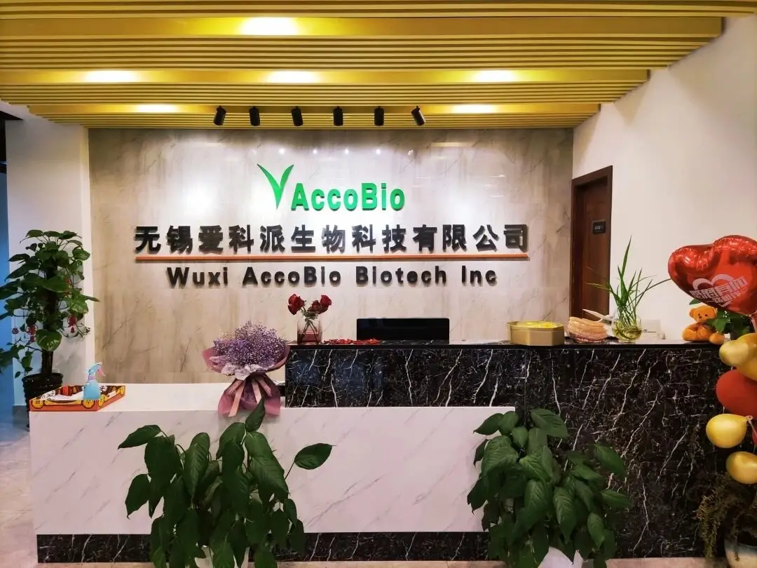 accobio-sialic-acid-bacillus-06